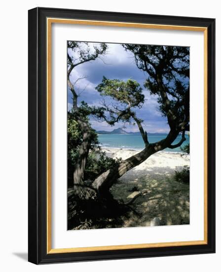 Southeast Coast, Island of Sardinia, Italy, Mediterranean-Oliviero Olivieri-Framed Photographic Print