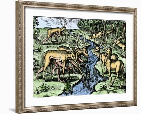 Southeastern Native American Hunters Disguised as Deer, 1500s-null-Framed Giclee Print