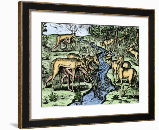 Southeastern Native American Hunters Disguised as Deer, 1500s-null-Framed Giclee Print