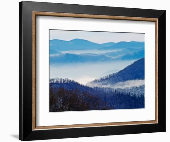 Southern Appalachian Mountains, Great Smoky Mountains National Park, North Carolina, USA-Adam Jones-Framed Photographic Print