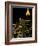 Southern Bell Building at Night, Atlanta, Georgia, USA-Marilyn Parver-Framed Photographic Print