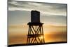 Southern California, Against Sunset-Alison Jones-Mounted Photographic Print