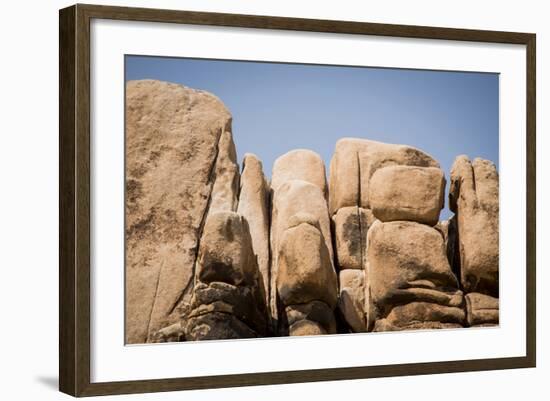 Southern California, Joshua Tree National Park-Alison Jones-Framed Photographic Print