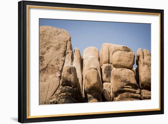 Southern California, Joshua Tree National Park-Alison Jones-Framed Photographic Print