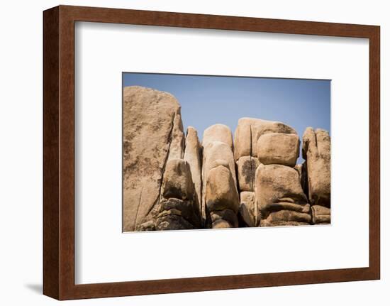 Southern California, Joshua Tree National Park-Alison Jones-Framed Photographic Print