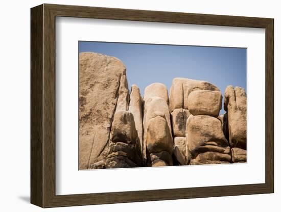 Southern California, Joshua Tree National Park-Alison Jones-Framed Photographic Print