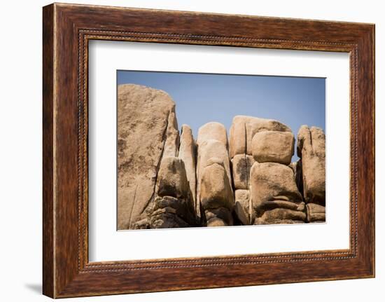 Southern California, Joshua Tree National Park-Alison Jones-Framed Photographic Print