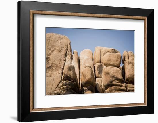 Southern California, Joshua Tree National Park-Alison Jones-Framed Photographic Print