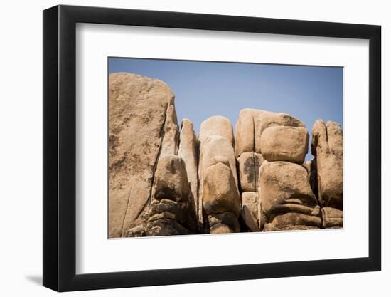 Southern California, Joshua Tree National Park-Alison Jones-Framed Photographic Print