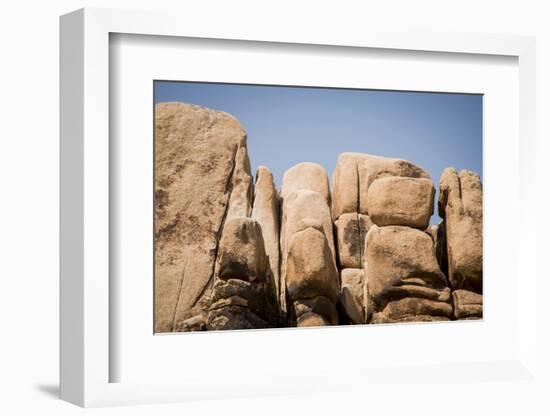 Southern California, Joshua Tree National Park-Alison Jones-Framed Photographic Print