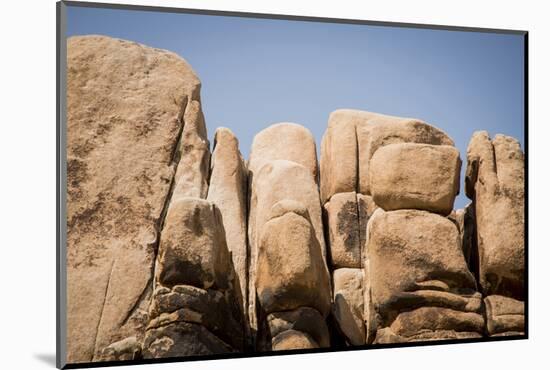 Southern California, Joshua Tree National Park-Alison Jones-Mounted Photographic Print