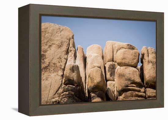 Southern California, Joshua Tree National Park-Alison Jones-Framed Premier Image Canvas