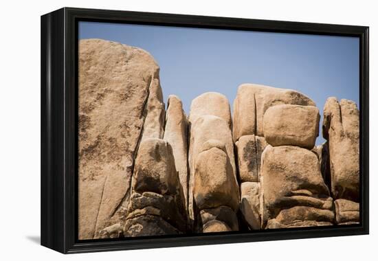 Southern California, Joshua Tree National Park-Alison Jones-Framed Premier Image Canvas