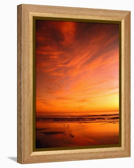 Southern California Sunset at Beach-Mick Roessler-Framed Premier Image Canvas