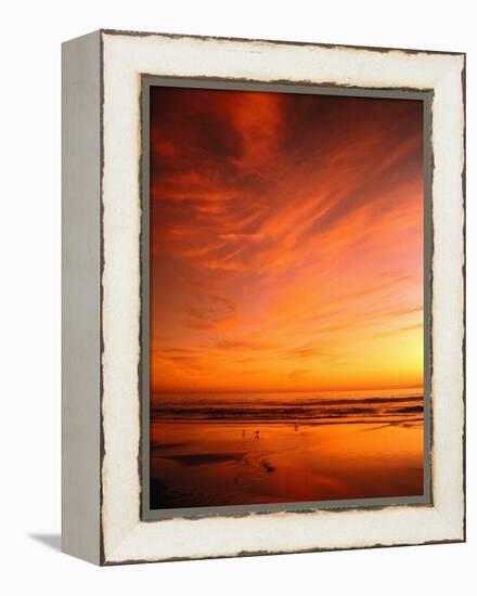 Southern California Sunset at Beach-Mick Roessler-Framed Premier Image Canvas