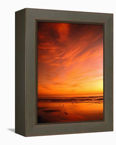 Southern California Sunset at Beach-Mick Roessler-Framed Premier Image Canvas