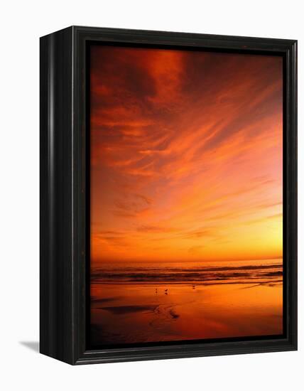 Southern California Sunset at Beach-Mick Roessler-Framed Premier Image Canvas