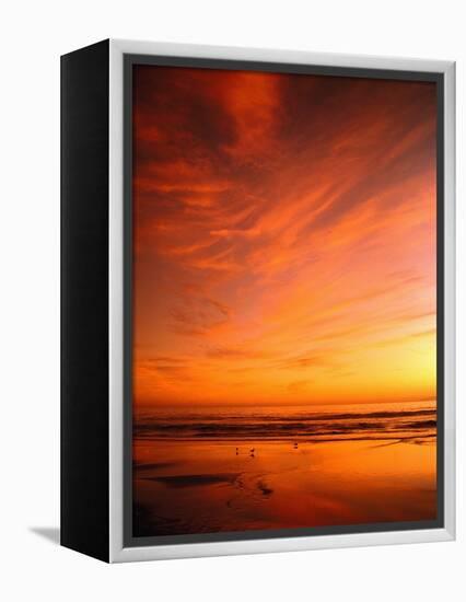 Southern California Sunset at Beach-Mick Roessler-Framed Premier Image Canvas