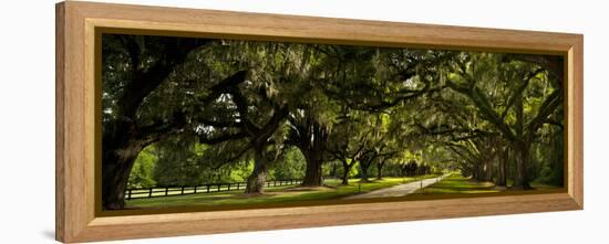 Southern Canopy-Natalie Mikaels-Framed Premier Image Canvas