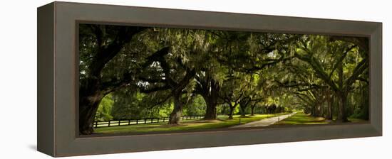 Southern Canopy-Natalie Mikaels-Framed Premier Image Canvas