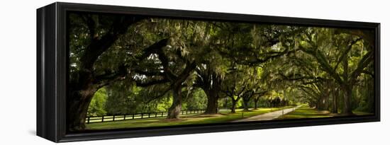 Southern Canopy-Natalie Mikaels-Framed Premier Image Canvas