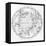 Southern Celestial Map-Science, Industry and Business Library-Framed Premier Image Canvas