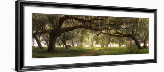 Southern Charm-Doug Cavanah-Framed Giclee Print