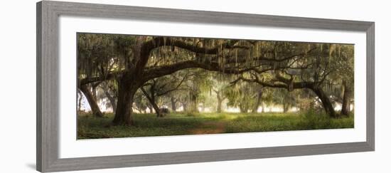 Southern Charm-Doug Cavanah-Framed Giclee Print