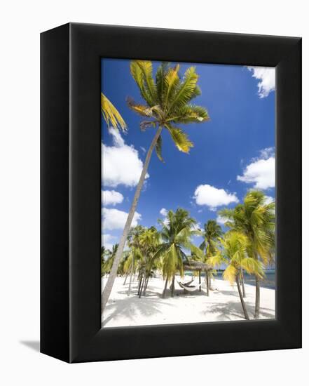 Southern Cross Club, Little Cayman, Cayman Islands, Caribbean-Greg Johnston-Framed Premier Image Canvas