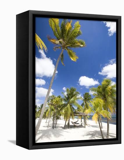 Southern Cross Club, Little Cayman, Cayman Islands, Caribbean-Greg Johnston-Framed Premier Image Canvas