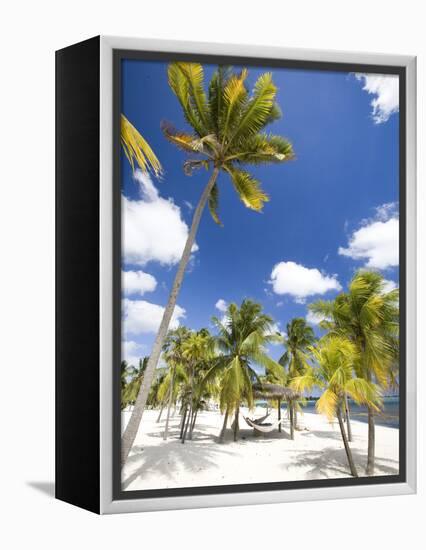 Southern Cross Club, Little Cayman, Cayman Islands, Caribbean-Greg Johnston-Framed Premier Image Canvas