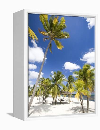 Southern Cross Club, Little Cayman, Cayman Islands, Caribbean-Greg Johnston-Framed Premier Image Canvas