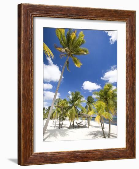 Southern Cross Club, Little Cayman, Cayman Islands, Caribbean-Greg Johnston-Framed Photographic Print