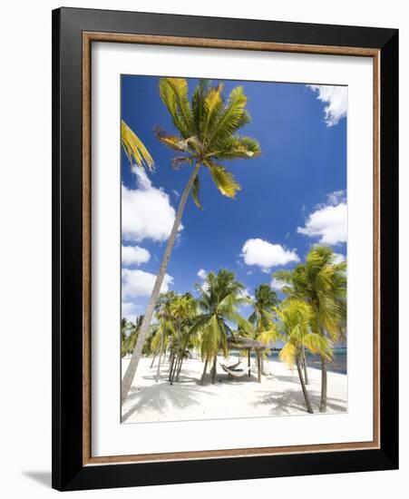 Southern Cross Club, Little Cayman, Cayman Islands, Caribbean-Greg Johnston-Framed Photographic Print