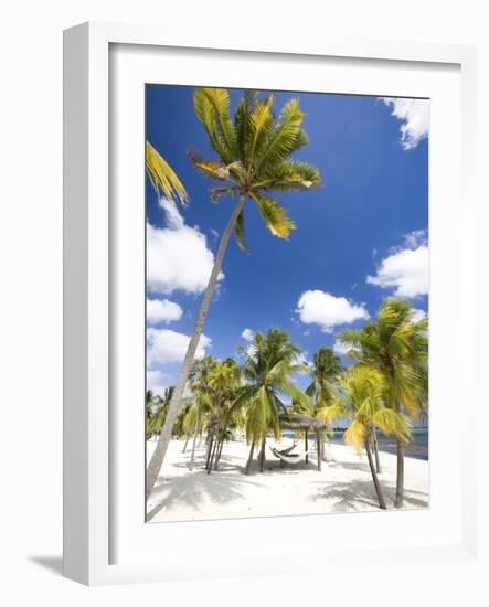 Southern Cross Club, Little Cayman, Cayman Islands, Caribbean-Greg Johnston-Framed Photographic Print