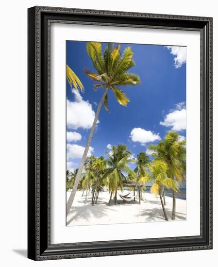 Southern Cross Club, Little Cayman, Cayman Islands, Caribbean-Greg Johnston-Framed Photographic Print