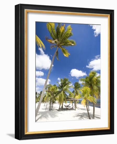 Southern Cross Club, Little Cayman, Cayman Islands, Caribbean-Greg Johnston-Framed Photographic Print