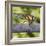 Southern Darter-Adrian Campfield-Framed Photographic Print