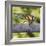 Southern Darter-Adrian Campfield-Framed Photographic Print