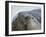 Southern elephant seal, bull and female on beach. South Georgia Island-Martin Zwick-Framed Photographic Print