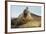 Southern Elephant Seal Bull Calling-Joe McDonald-Framed Photographic Print