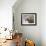 Southern elephant seal bull on beach.-Martin Zwick-Framed Photographic Print displayed on a wall