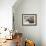 Southern elephant seal bull on beach.-Martin Zwick-Framed Photographic Print displayed on a wall