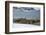 Southern elephant seal colony (Mirounga leonina), Coronation Island, South Orkney Islands, Antarcti-Michael Runkel-Framed Photographic Print