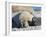 Southern elephant seal female with pup on beach.-Martin Zwick-Framed Photographic Print