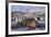 Southern elephant seal, male at sunrise, St Andrews Bay, South Georgia-Tony Heald-Framed Photographic Print