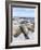 Southern Elephant Seal Males on Sandy Beach, Falkland Islands-Martin Zwick-Framed Photographic Print