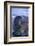 Southern Elephant Seal Pup-DLILLC-Framed Photographic Print