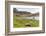 Southern Elephant Seal Pups (Mirounga Leonina) after Being Weaned, Grytviken Harbor, South Georgia-Michael Nolan-Framed Photographic Print