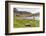 Southern Elephant Seal Pups (Mirounga Leonina) after Being Weaned, Grytviken Harbor, South Georgia-Michael Nolan-Framed Photographic Print